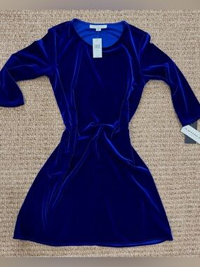 Caroline Rose Velvet Dress Royal Blue.